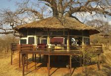 Tarangire Tree Tops Lodge
