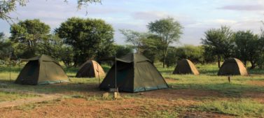 Seronera Campsite - Serengeti