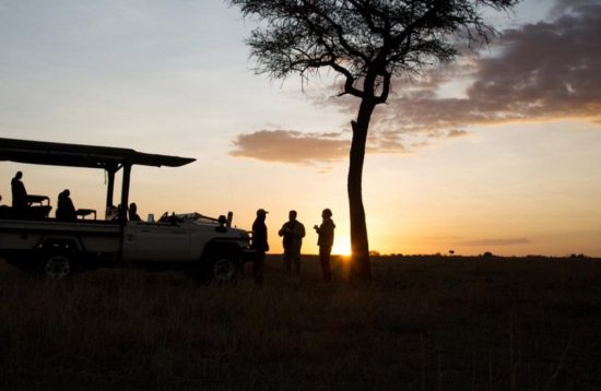 Safari to Serengeti