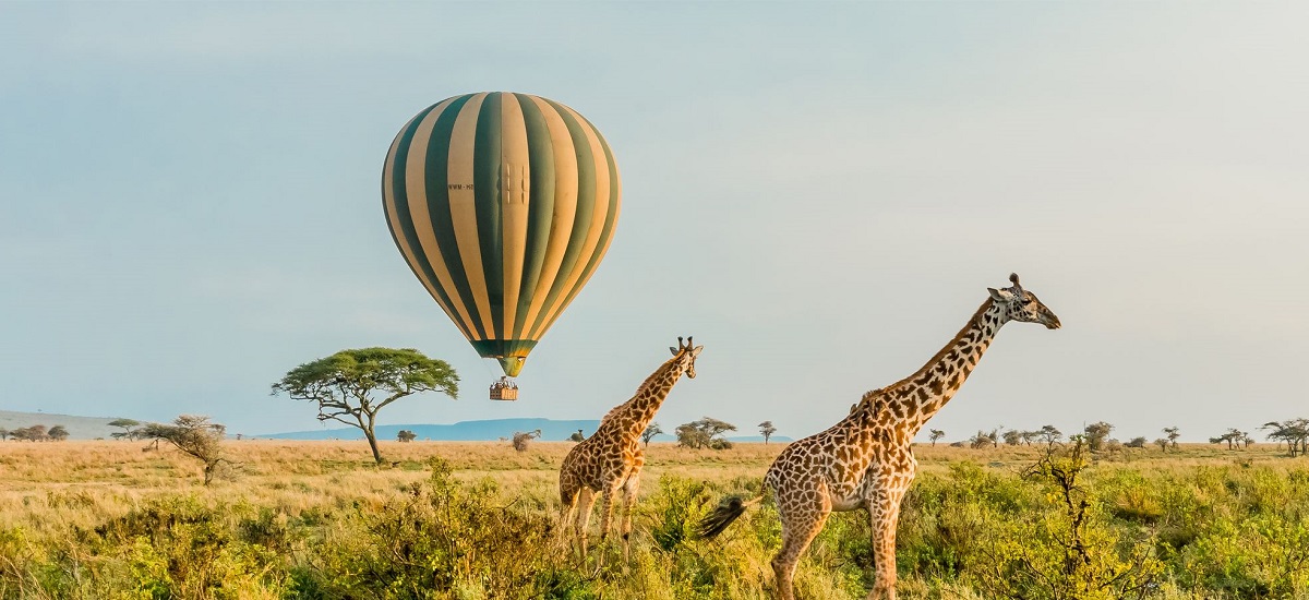 honeymoon-safaris-packages-tanzania