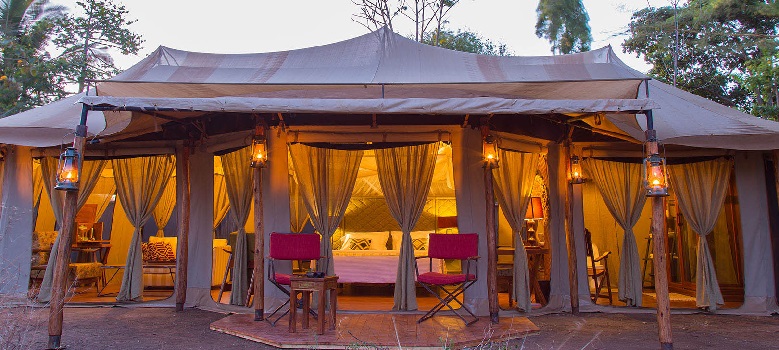 7 Days Lodge Safaris, Tanzania Lodge Safari, Luxury Lodge Safari, Serengeti Lodge Safari, 