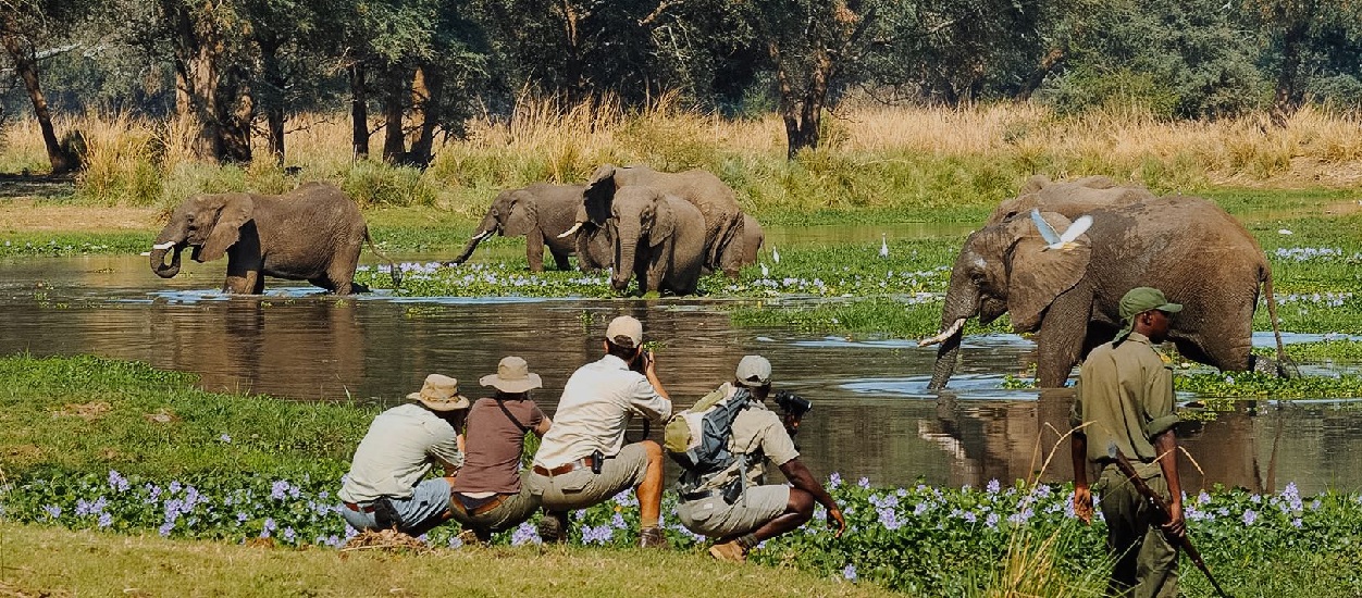 ruaha-safaris-in-tanzania