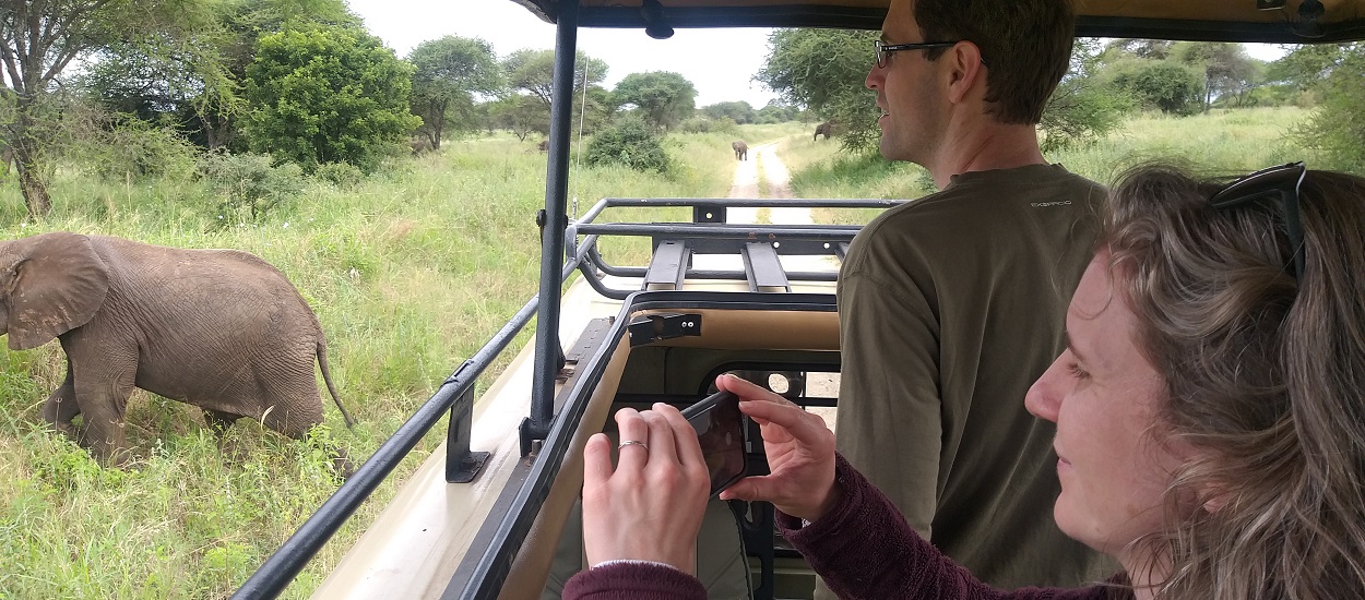 game-drive-serengeti-safari