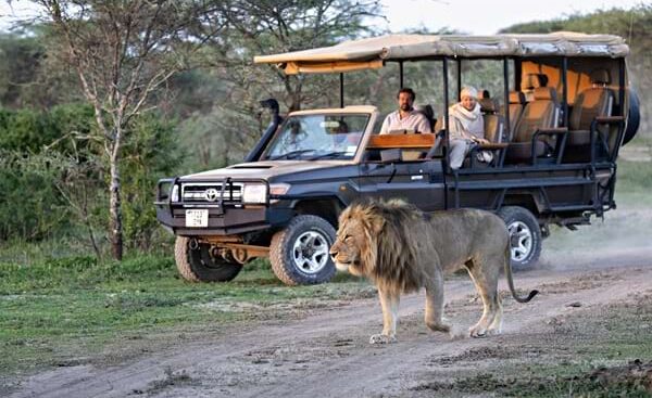 Mara River wildebeest migration