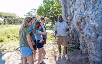 3-Day Nyerere Safari from Zanzibar